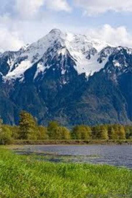Lake Time Harrison 哈里森温泉 外观 照片